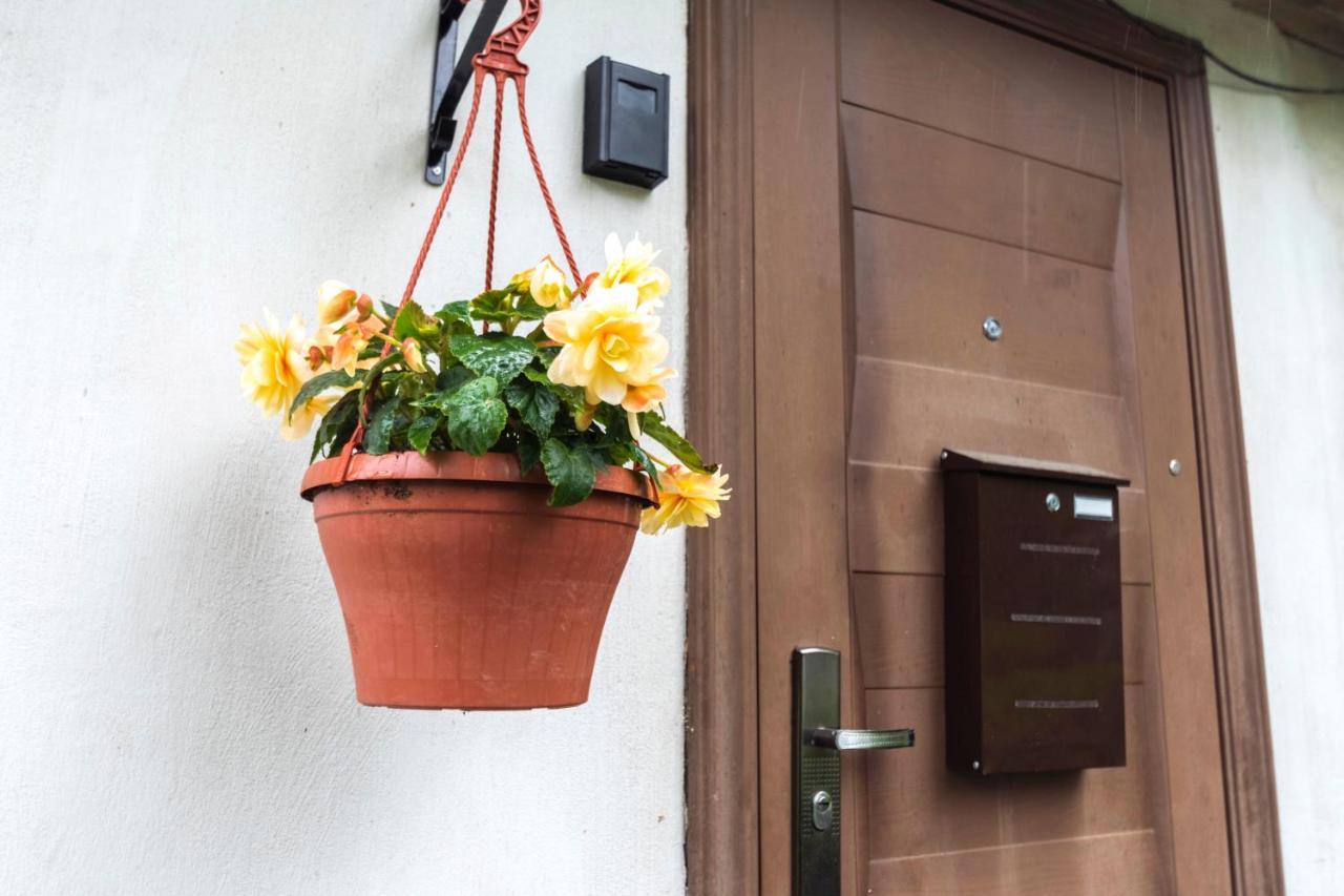 Napoleona Apartamenti Apartment Kuldiga Ngoại thất bức ảnh